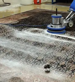 Professional rug cleaning with a rotary floor machine and shampoo foam, deep-cleaning an area rug Cleveland, OH.